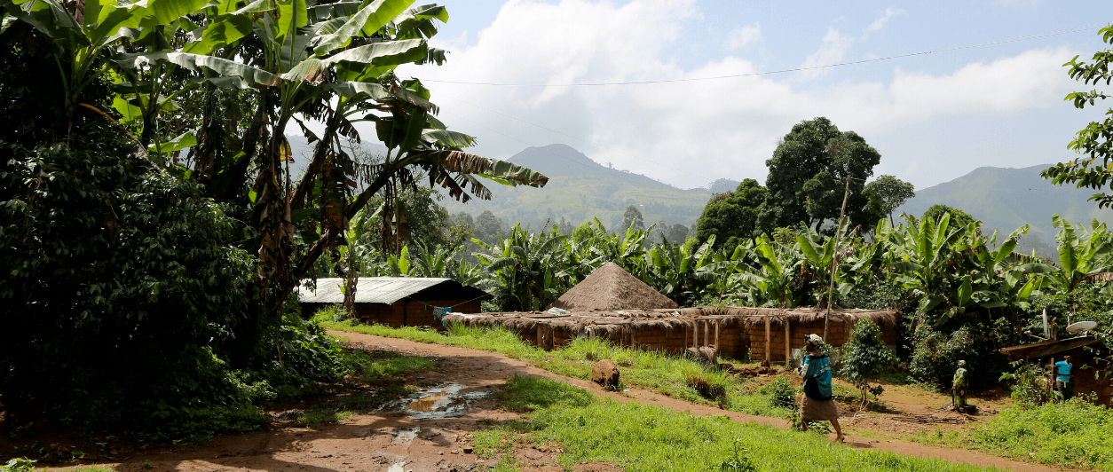 A lush, green Cameroonian landscape, with a mountainous background