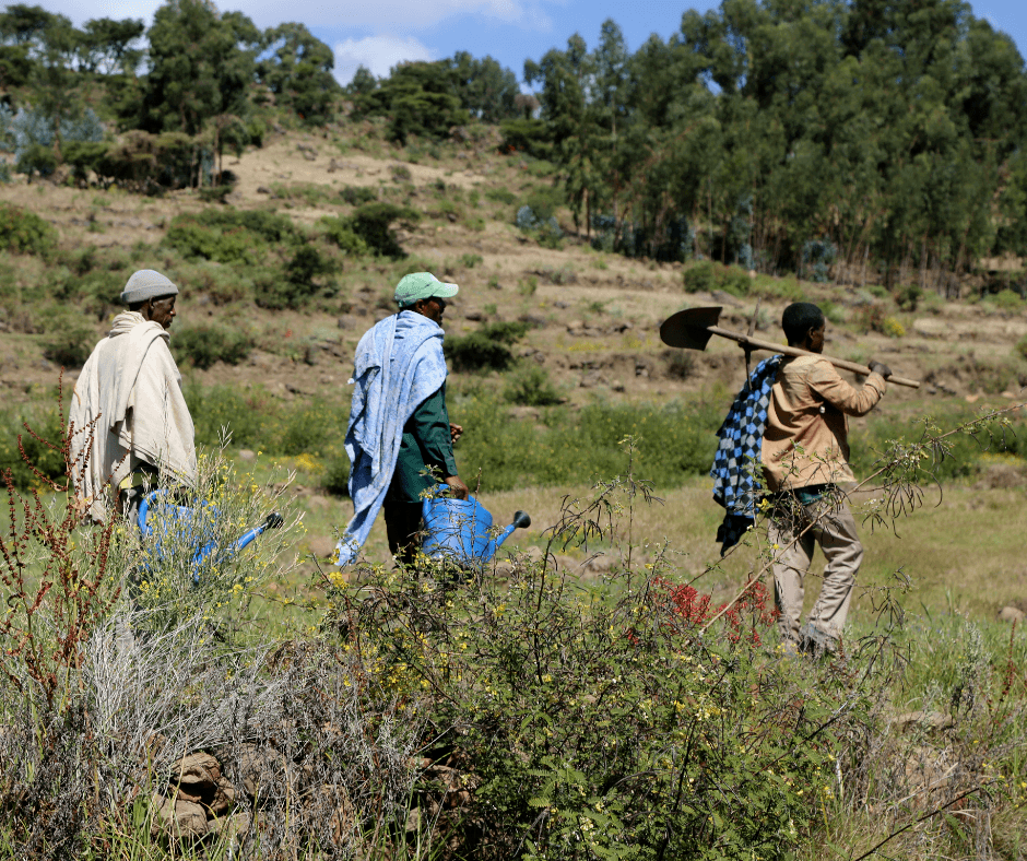 Three men, holding tools and watering cans, walk in a line through a hilly landscape in central Ethiopia. 